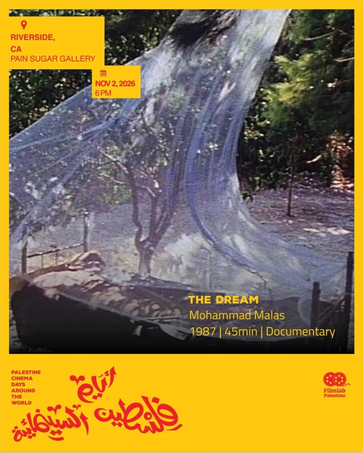 Flyer for Palestine Cinema Days