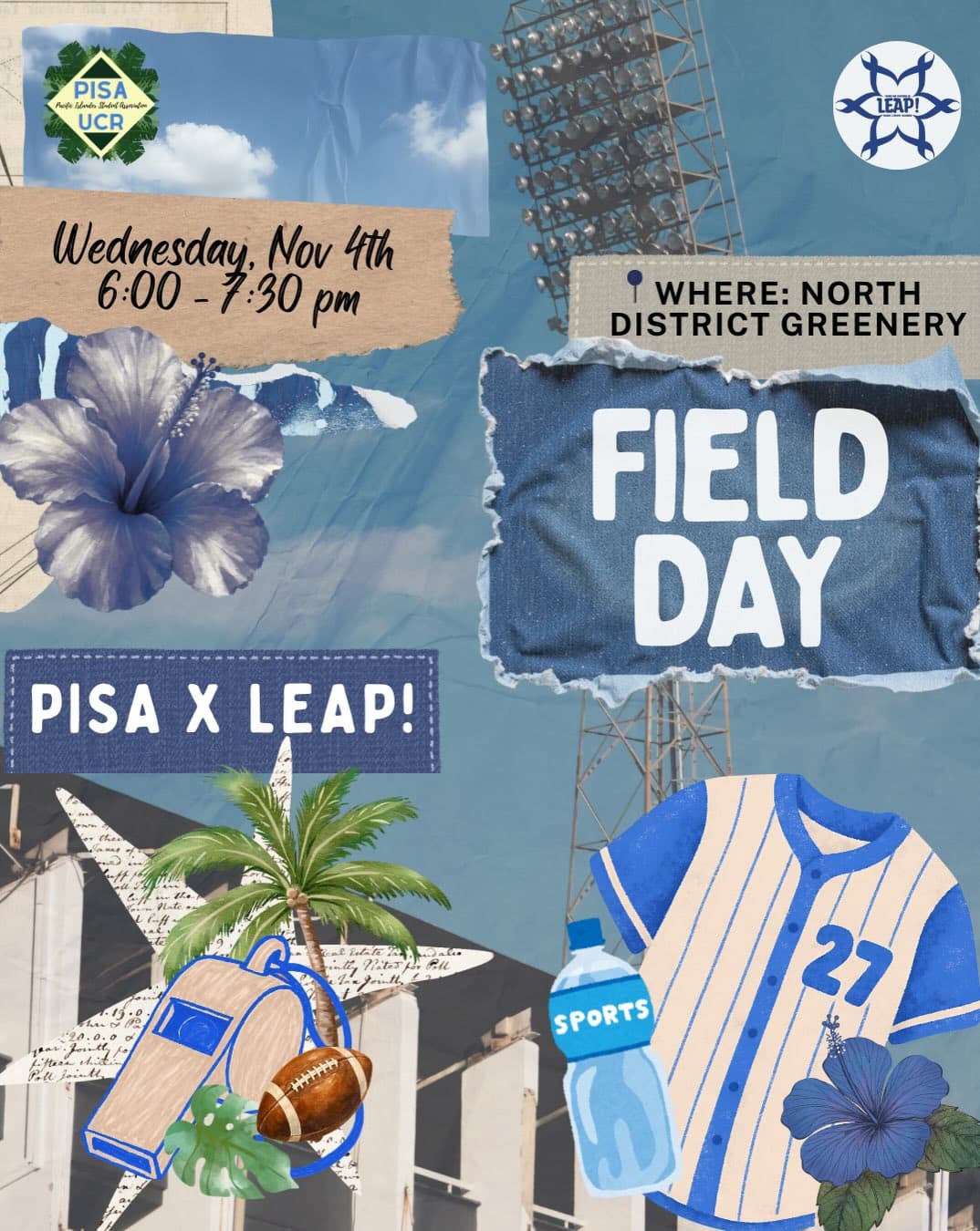Flyer for Pisa and Leap Field Day